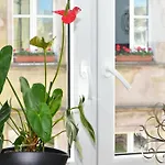 Komfortowe Przy Rynku Klimatyzacja * ヴロツワフ